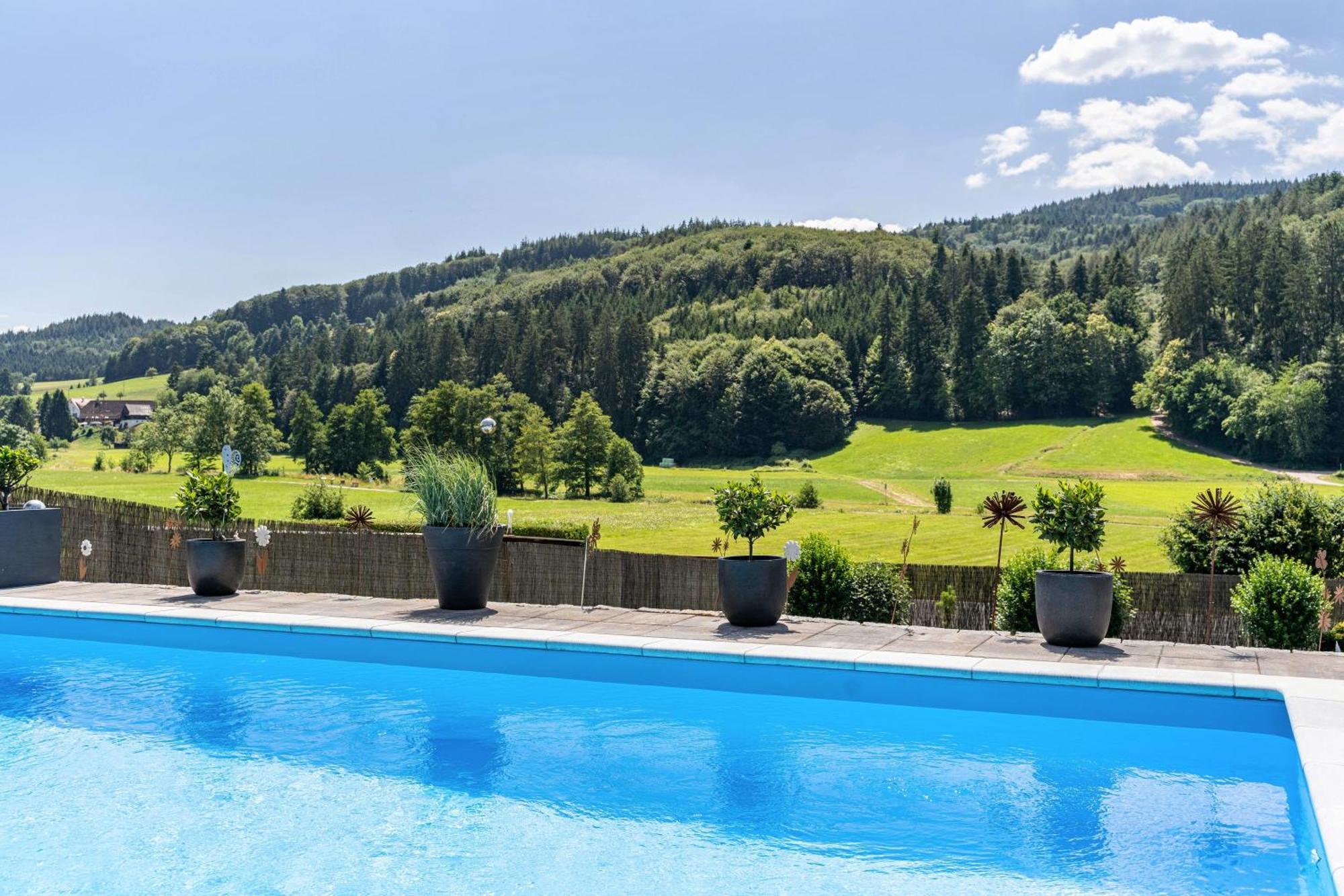 Ferienwohnung Geisbergblick Seelbach  Extérieur photo